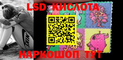 PSILOCYBIN Кимры