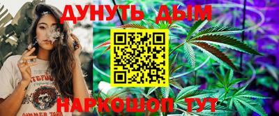 дживик Кингисепп
