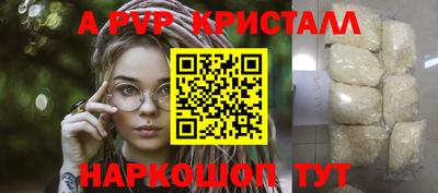 дживик Кингисепп