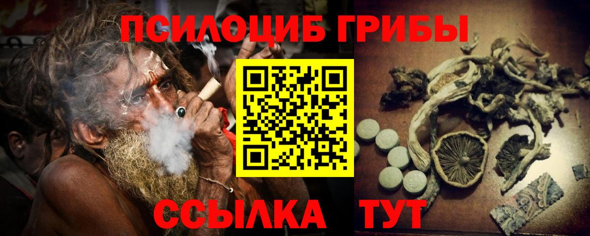 Псилоцибиновые грибы мицелий Канск